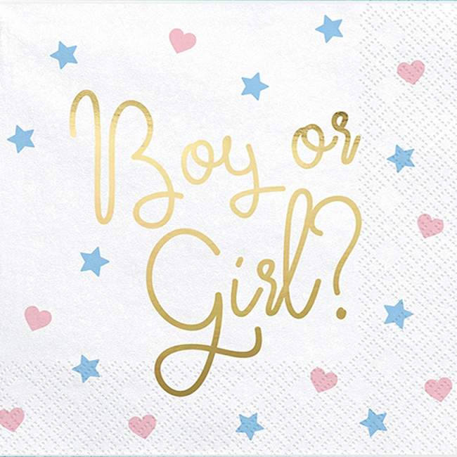 18901-CHartopetsetes-Boy-or-Girl-gia-Baby-Shower-20-tem