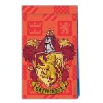 sakoulakia-gia-dorakia-oikoi-hogwarts