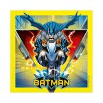xartopetsetes-batman-20-tem