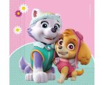xartopetsetes-paw-patrol-skye-everest