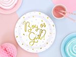 18897-Piata-gia-Baby-Shower-Boy-or-Girl-6-tem