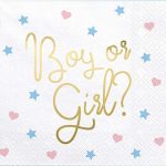 18901-CHartopetsetes-Boy-or-Girl-gia-Baby-Shower-20-tem