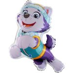 baloni-everest-paw-patrol-koritsi