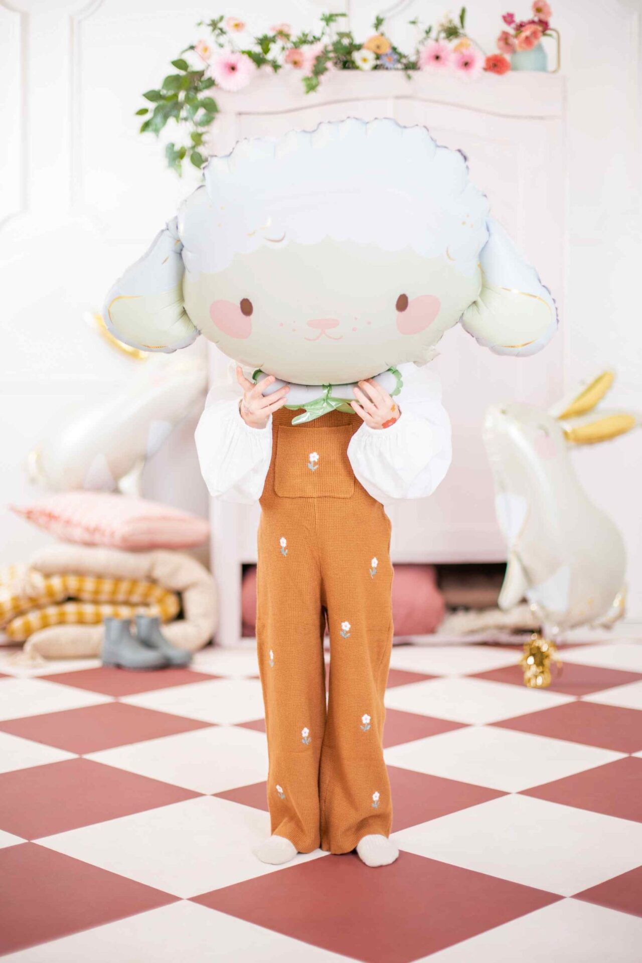 baloni-ntropalo-provataki-1