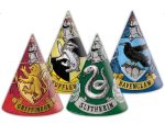 kapelakia-party-harry-potter