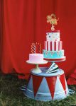 topper-toirtas-linontari_1